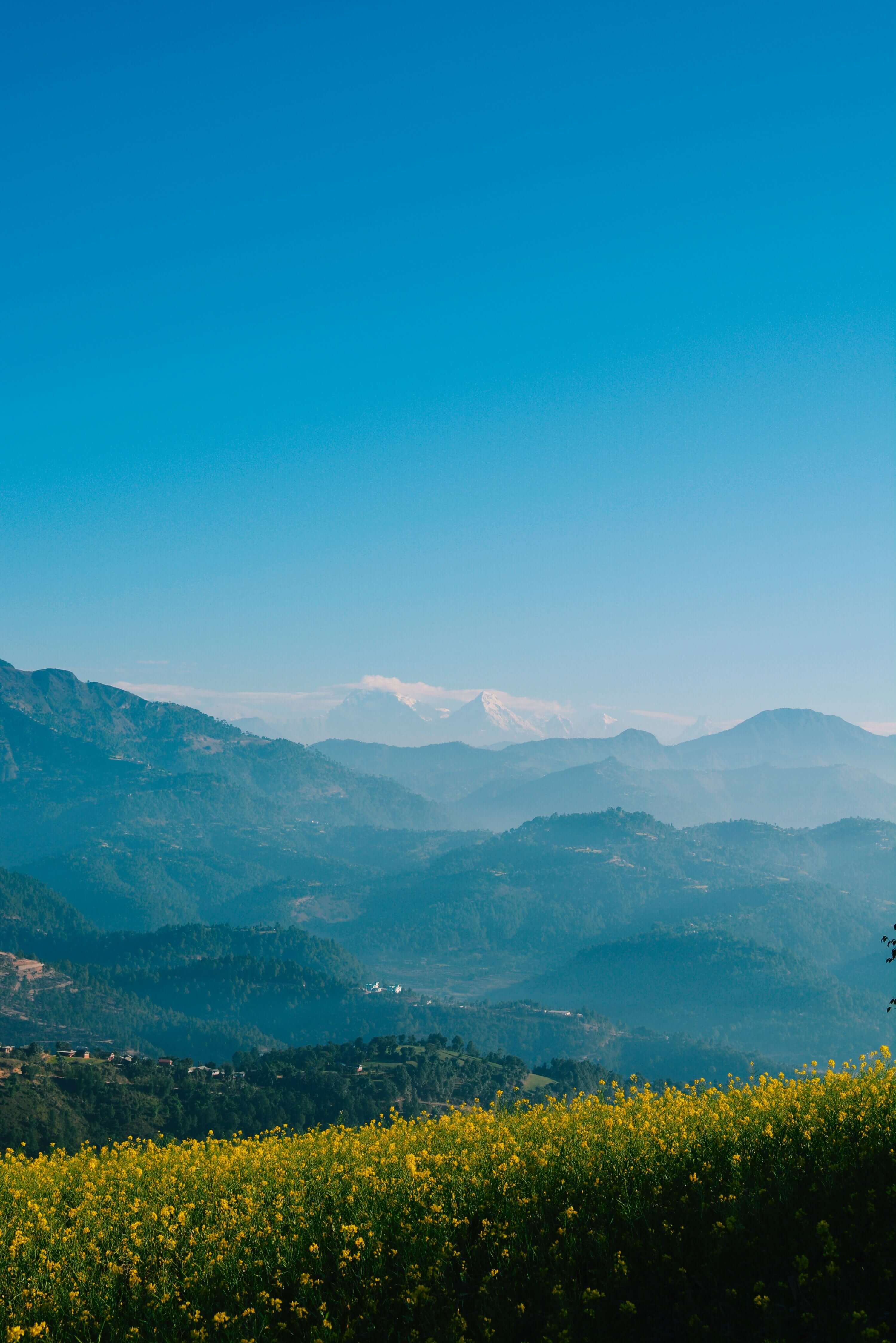 A landscape of a field, mountains and blue sky