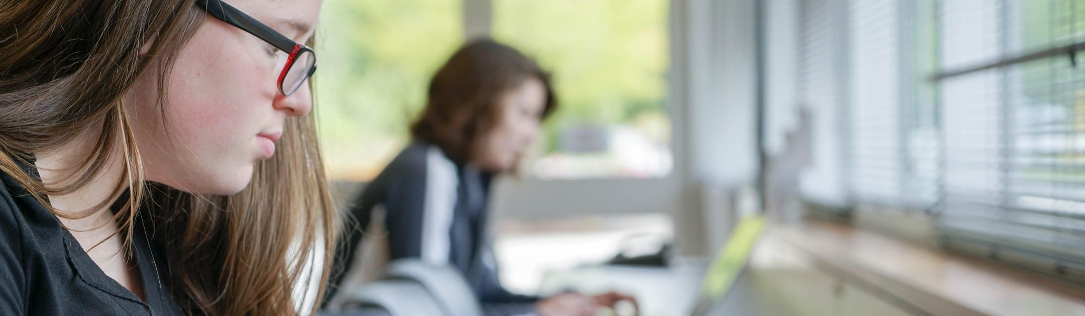 Students studying on laptops