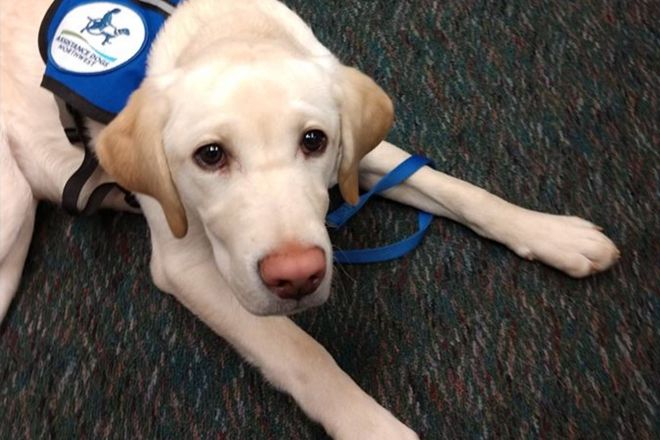 TherapyDogs_Event