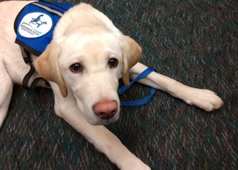 TherapyDogs_Event